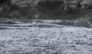 京津冀暴雨求助入口